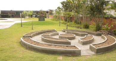 Museu do Pontal lança programação voltada à conscientização ambiental