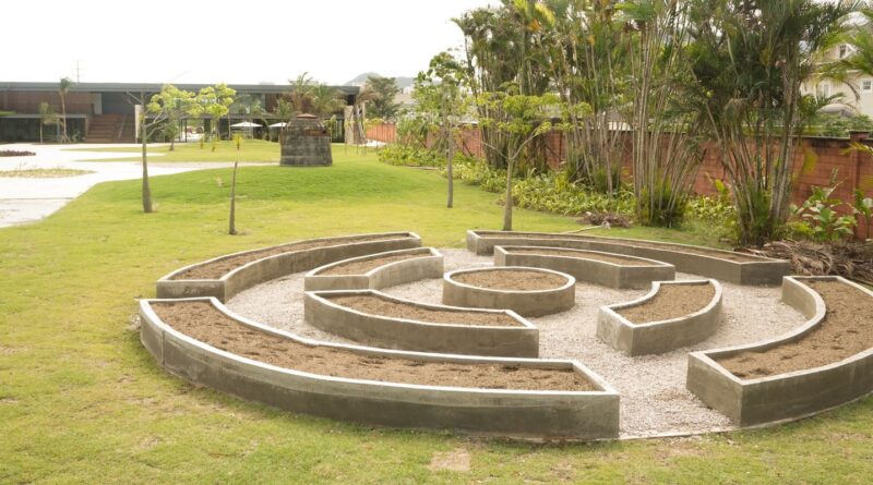Museu do Pontal lança programação voltada à conscientização ambiental