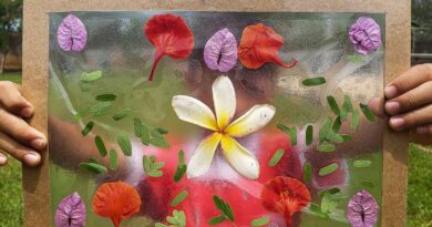 Natureza precisa ser aliada e não ameaça às crianças, diz especialista