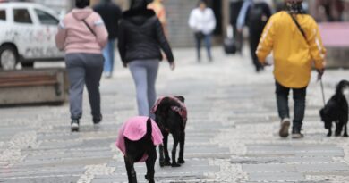 Parque Nacional do Itatiaia registra menor temperatura do ano: -9,4ºC