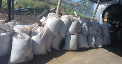 Polícia recupera carga de café furtada na zona rural de Nova Venécia