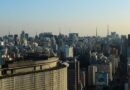 Prédios com vidraças nas cidades ameaçam aves, aponta pesquisa
