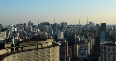 Prédios com vidraças nas cidades ameaçam aves, aponta pesquisa