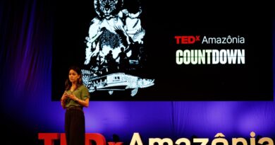 Preservar a Amazônia é questão de segurança nacional, diz especialista
