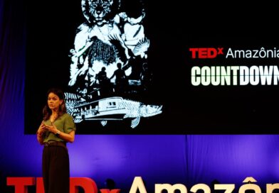Preservar a Amazônia é questão de segurança nacional, diz especialista