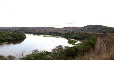 Recuperação do Rio Doce precisa avaliar mudança climática, diz estudo