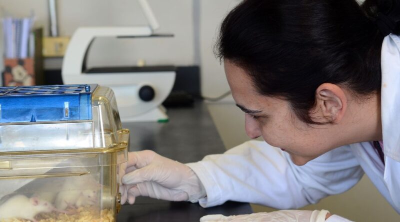 Tecidos feitos em laboratório podem aperfeiçoar testes de medicamentos