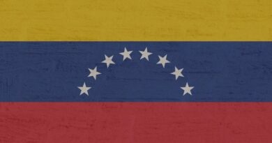 Venezuelanos superam portugueses e passam a ser a maioria entre estrangeiros no Brasil, aponta IBGE