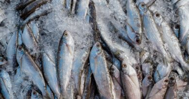 Abipesca pede crédito emergencial para reduzir impacto do tarifaço