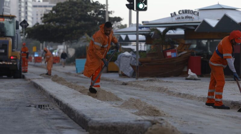 Após ondas gigantes, cinco pinguins aparecem mortos na orla do Rio