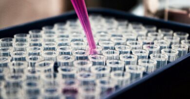 Brics aumentam produção científica em 10 vezes entre 2000 e 2024