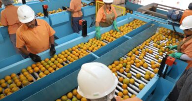 Confira a lista de quase 700 produtos que não serão taxados pelos EUA