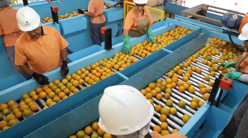 Confira a lista de quase 700 produtos que não serão taxados pelos EUA