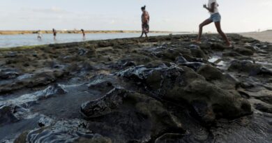 Estrangeiros atrasam investigação sobre óleo no litoral do Nordeste