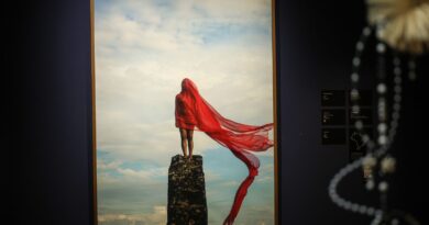 Exposição Alumbramento abre Festival Latinidades em Brasília