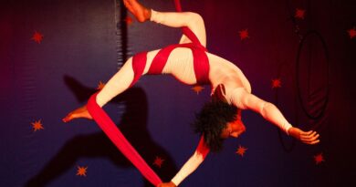 Governo de São Paulo anuncia ações de incentivo a circos