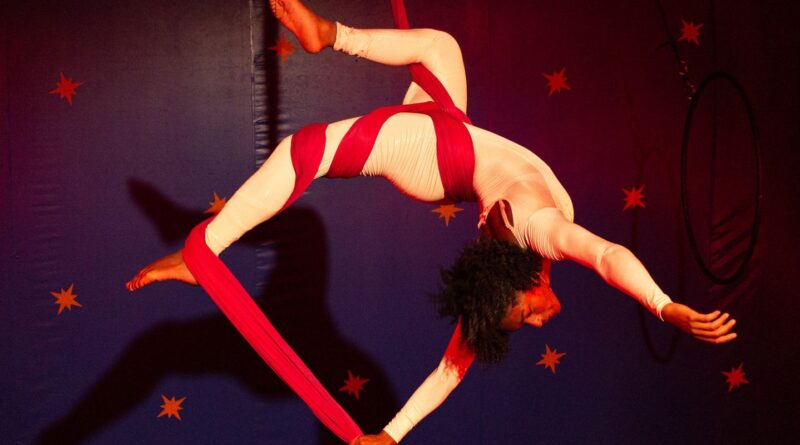 Governo de São Paulo anuncia ações de incentivo a circos