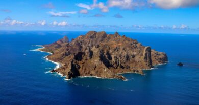Ilha capixaba aumenta flora nativa e é modelo de restauração ambiental
