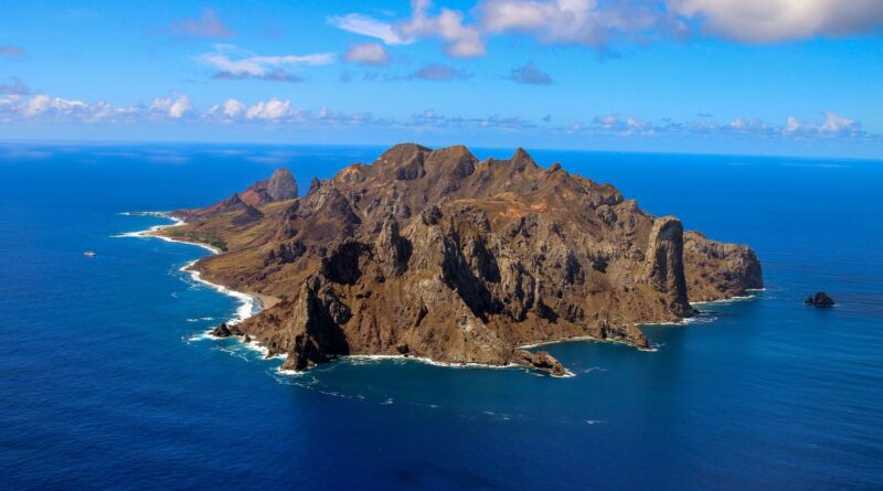 Ilha capixaba aumenta flora nativa e é modelo de restauração ambiental