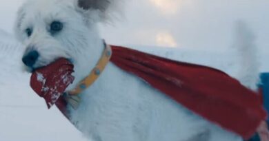 Krypto invade Google em ação promocional do filme
