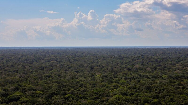 Organizações sociais propõem plano para investimentos na Amazônia
