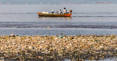 Pescadores tiram 46 toneladas de lixo em baias de Guanabara e Sepetiba
