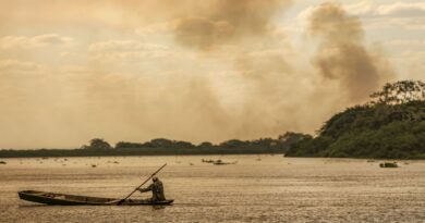 Pesquisadores e povos da floresta pedem veto ao PL da Devastação