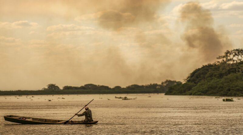 Pesquisadores e povos da floresta pedem veto ao PL da Devastação