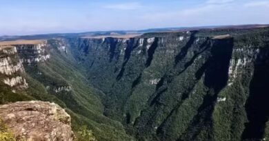 Planejamento da segurança em parques reduz riscos, mas não os elimina