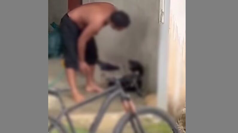 Policial é flagrado batendo em cachorro e termina preso – Portal Momento