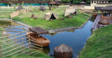 Rio: após galinhas d'angola aparecerem mortas, BioParque está fechado