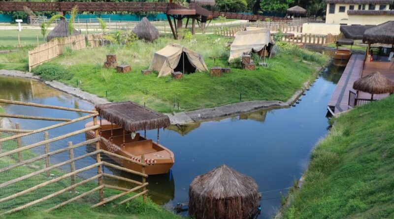 Rio: após galinhas d'angola aparecerem mortas, BioParque está fechado