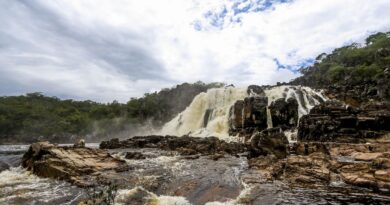 Sistema Nacional de Unidades de Conservação da Natureza faz 25 anos