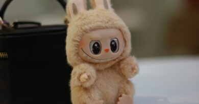 Sucesso global, Labubu impulsiona ações da Pop Mart e empresa ultrapassa multinacional brasileira