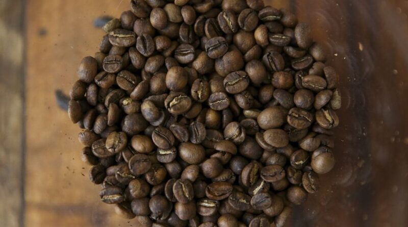 Tarifaço pode impactar vendas de suco de laranja, café, carne e frutas