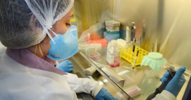 USP: pesquisa de vacina contra zika avança em testes com camundongos