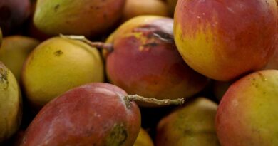 Abrafrutas apoia plano e pede atenção a pequenos produtores