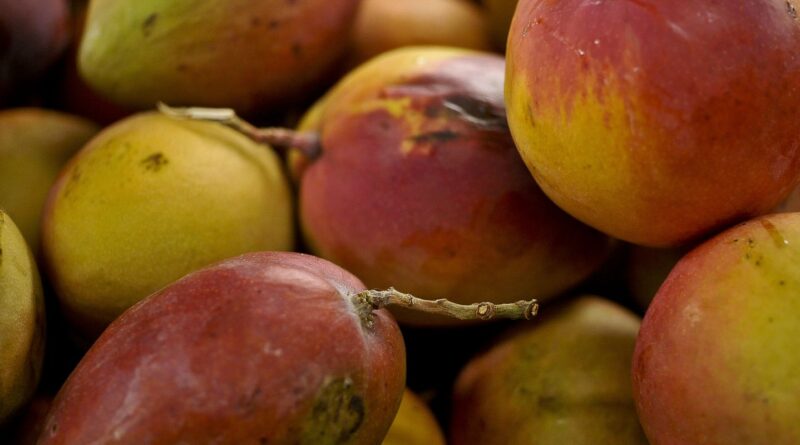 Abrafrutas apoia plano e pede atenção a pequenos produtores