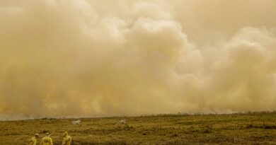 Agosto mantém baixos índices de queimadas após semana crítica