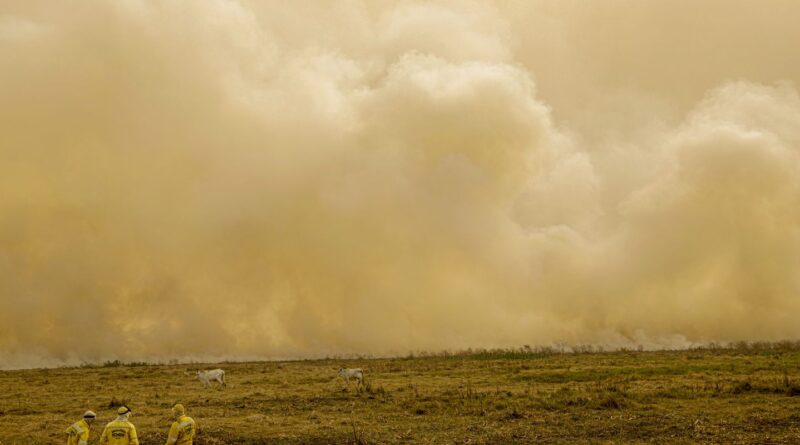 Agosto mantém baixos índices de queimadas após semana crítica