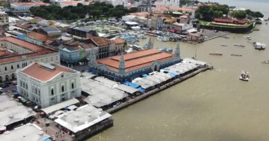 Caminhos da Reportagem mostra como a COP30 mobiliza negócios