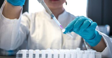 Cientistas brasileiros identificam nova espécie de peixe pré-histórico