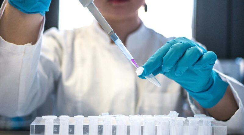 Cientistas brasileiros identificam nova espécie de peixe pré-histórico