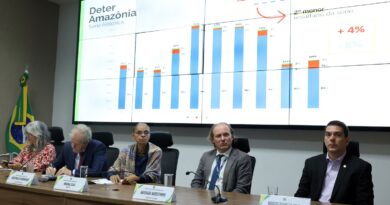 Em 12 meses, desmatamento cai 20% no Cerrado e sobe 4% na Amazônia