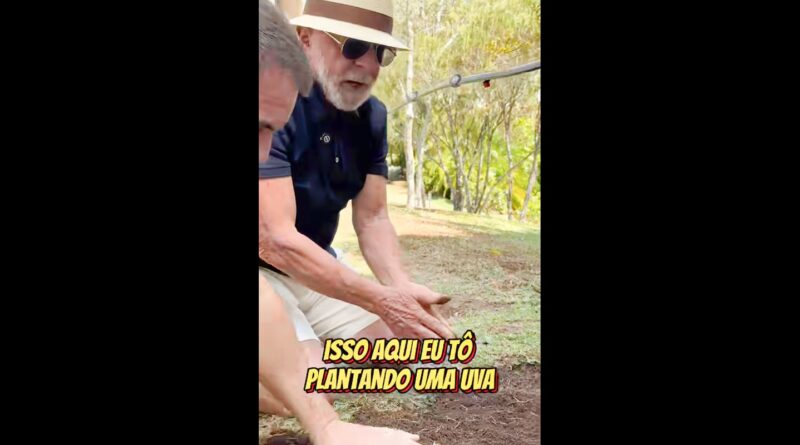 Em vídeo a Trump, Lula planta uva e diz semear comida e não ódio