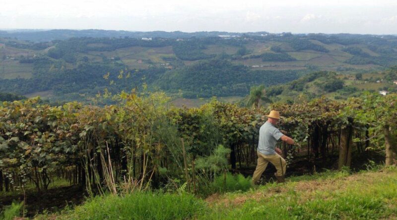 Entrega da declaração do ITR 2025 começa nesta segunda-feira