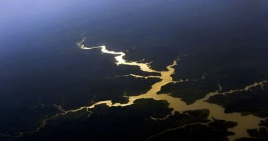 Estudo mapeia disputas e conflitos nas fronteiras da Amazônia