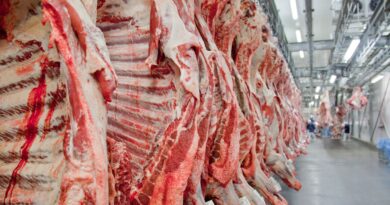 Exportação de carne bovina bate recorde em mês anterior ao tarifaço
