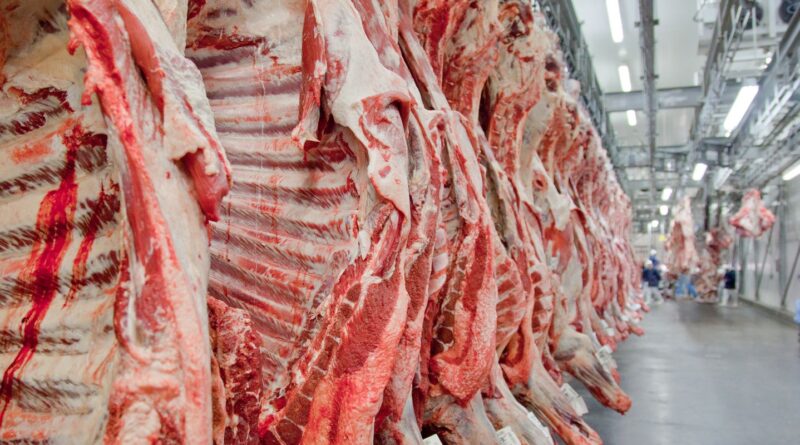 Exportação de carne bovina bate recorde em mês anterior ao tarifaço