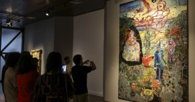 Exposição de artista maranhense exalta identidade latina e ancestral